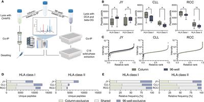Immunoprecipitation methods impact the peptide repertoire in immunopeptidomics